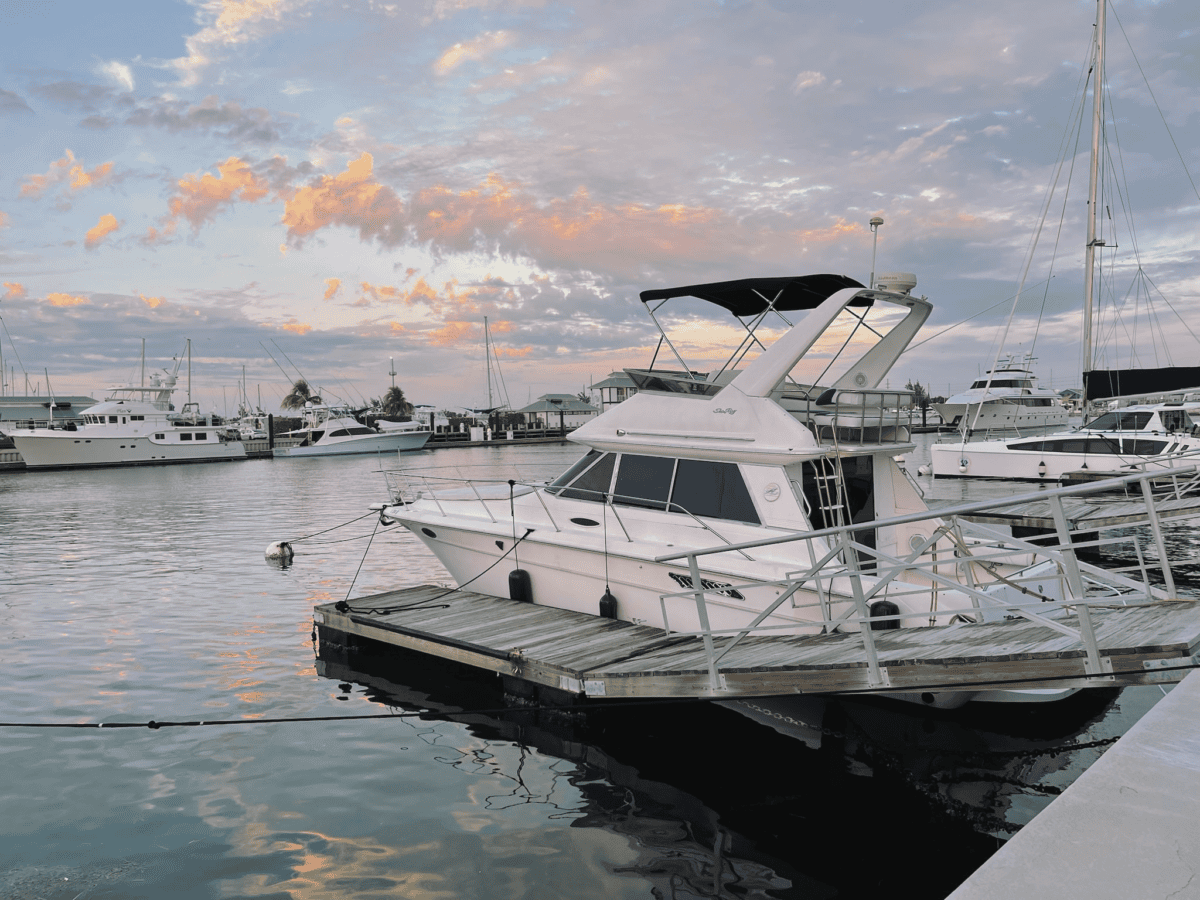 The Sea Ray Boat Experience @ The Perry Marina